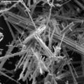 SEM image of asbestos fibers.