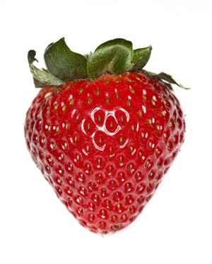 ملف:Strawberry 500.jpg