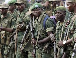 قوات من الجيش الموزمبيقي.
