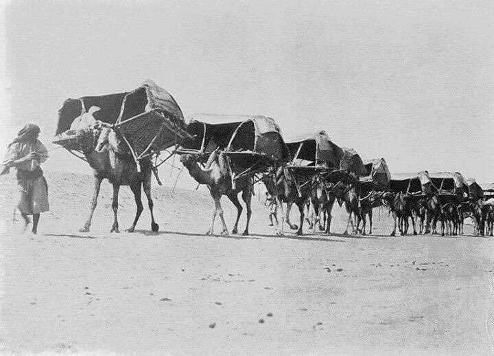 ملف:بعثة الحج المصرية ١٩١٩.jpg