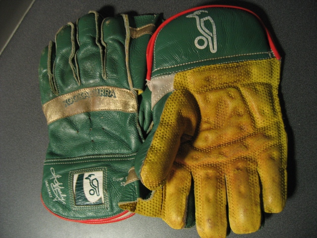 ملف:Wicket-Keeping Gloves.jpg