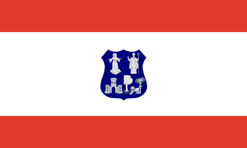 ملف:Bandera de Asunción (Paraguay).png