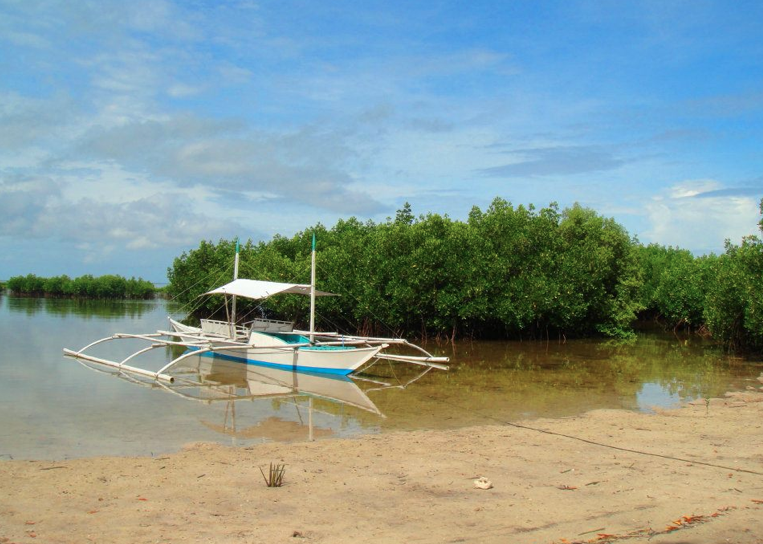 ملف:Mangroves of Bohol.png