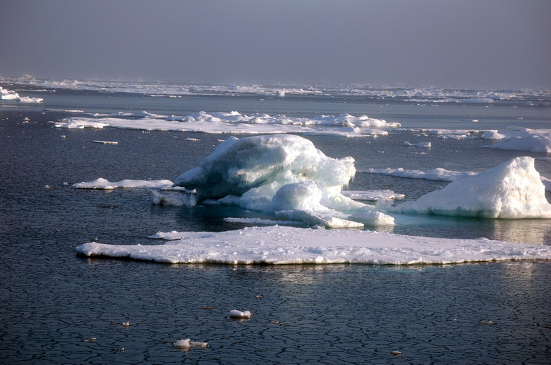 ملف:Ice in the East Siberian Sea (RAS NOAA RUSALCA 2009).jpg