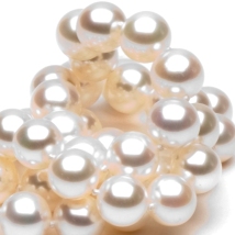 A string of white pearls arranged in a twisted pile on a white background.