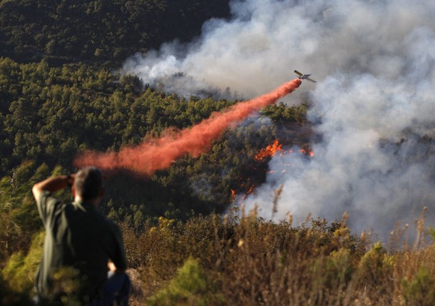 ملف:حريق غابات الكرمل 2010.jpg