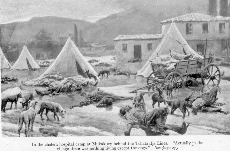 ملف:With the conquered Turk (1913) Hospital Campt at Mukakucy.png