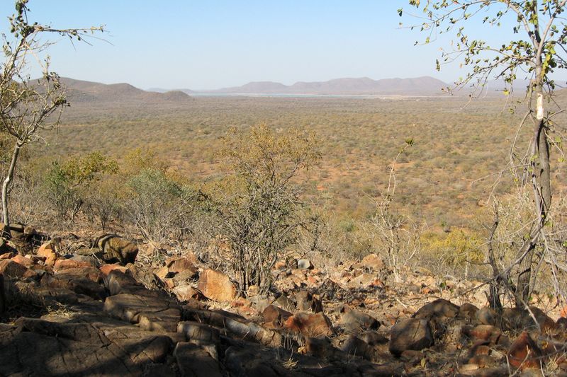 ملف:Overlooking Mokolodi Nature Reserve.jpg