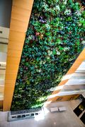 A "living wall" inside the Papadakis Integrated Science Building