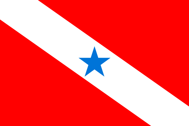 ملف:Bandeira do Pará.svg