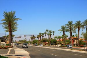 Palm trees line a busy four-lane street
