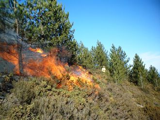 A small fire on the slope of a hill. The hill features small, green shubbery and some trees. A person in light-colored clothing in seen in the background, some distance from the flames.