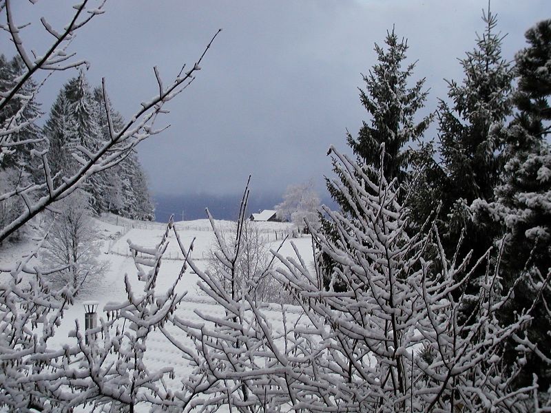 ملف:Schneelandschaft Furx.JPG