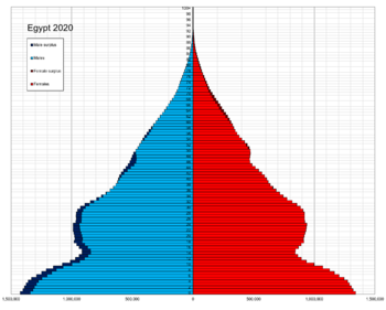 Egypt single age population pyramid 2020.png