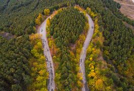 3615567 تصاویر هوایی جاده های پاییزی جنگل های هیرکانی.jpg