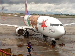 Southwest "California One" Livery.jpg