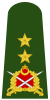 Turkey-army-OF-7.svg