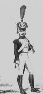 A grenadier of the line, 1812ح. 1812
