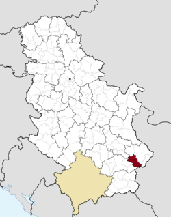 Location of the municipality of Babušnica within Serbia