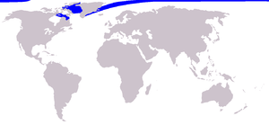 Cetacea range map Narwhal.png