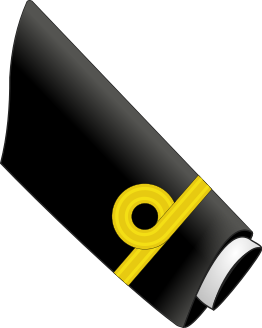 ملف:Generic-Navy-O1-sleeve.svg