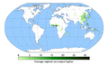 التوزع الجغرافي العالمي لزراعة القلقاس