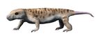 Galesaurus planiceps