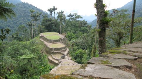 Ciudad Perdida is a major settlement believed to have been founded around 800 CE. It consists of a series of 169 terraces carved into the mountainside. a net of tiled roads and several small circular plazas. The entrance can only be accessed by a climb up some 1.200 stone steps through dense jungle.[11]