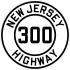 NJ 300 (cutout).svg