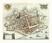 1649 map of Zaltbommel in Willem and Joan Blaeu's "Toonneel der Steden"
