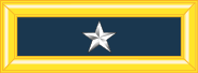 ملف:Army-USA-OF-06.svg