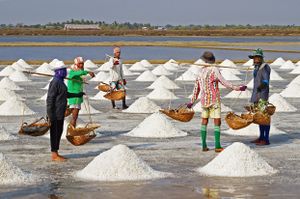 فلاحون يجمعون الملح في پتچابوري، تايلند.