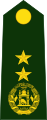 الجيش الأفغاني الوطني