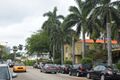 A street of Miami Beach with royal palms