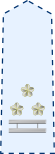 JASDF Colonel insignia (a).svg