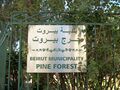 لافتة المعلومات عند بوابة الحديقة من منطقة بدارو