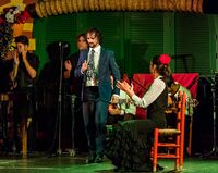 Flamenco en el Palacio Andaluz, Sevilla, España, 2015-12-06, DD 11.JPG