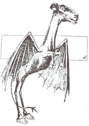 Jersey Devil Philadelphia Post 1909.jpg