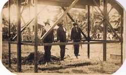 ثلاثة من مجاهدي المورو مشنوقون في جولو، 23 يوليو 1911