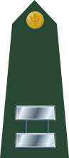 ملف:US Army O3.svg