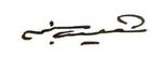 Ali Muhammad Negm Signature.jpg