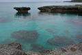 Coral reef off Lifou
