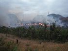 قطع وحرق غير قانوني للغابات في مدغشقر