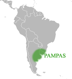 الموقع والحدود التقريبية لپامپاس تشمل المنطقة الجنوبية الشرقية من أمريكا الجنوبية المطلة على المحيط الأطلسي.