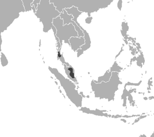خريطة توضح انتشار نمر الملايو.