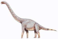 Sonorasaurus thompsoni.jpg