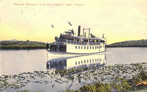 Colored-drawing postcard of a small steamboat packed with passengers, slowly moving through the lake's marshlands, with birds circling overhead