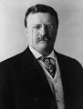 الرئيس السادس والعشرون للولايات المتحدة والحائز على جائزة نوبل للسلام ثيودور روزفلت (AB, 1880)[118]