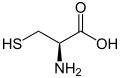 (L)-Cysteine, an amino acid containing a thiol group