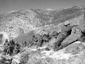 A line of soldiers on a hill engaged in a battle